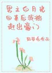 失落沦陷温阑顾择封面