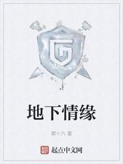 地下情缘封面