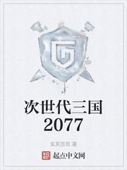 次世代三国2077封面