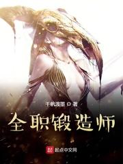 全职锻造师封面
