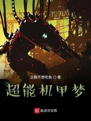唐砖封面