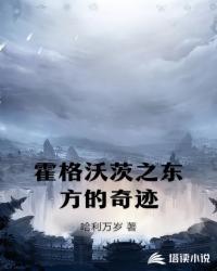 被道侣捅死后我带着天雷回来了封面