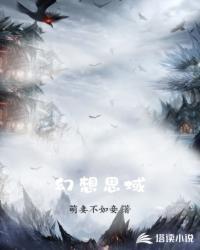 废土帝道封面