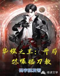 星河秘约封面