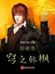 我的世界吾王him封面