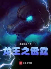 风起黄巾封面