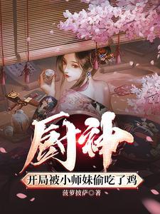 官场孽缘封面