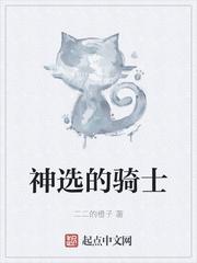 许你长安，予你孤欢封面