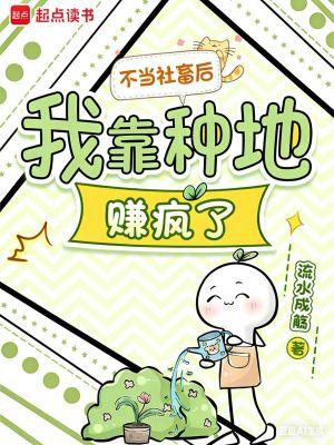 四合院：我对象又红又专封面