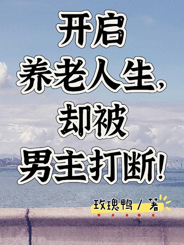 综盗笔：宠小哥呢封面
