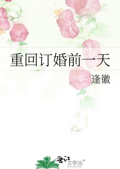 重回订婚前一天txt封面