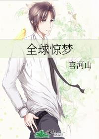 穿越六十年代记事封面